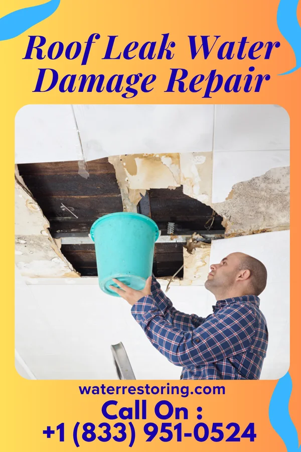 Roof Leak Water Damage Repair in Oak Ridge, TX